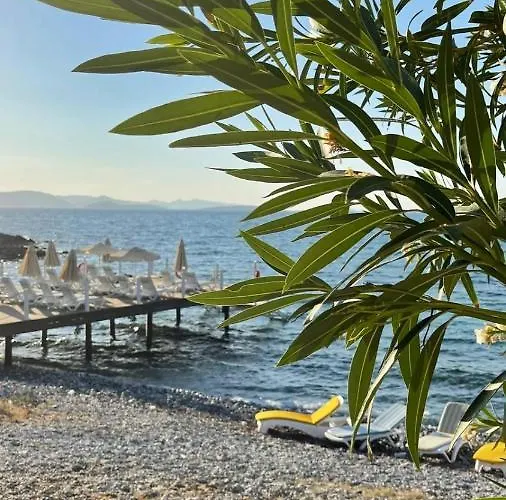 Love Beach Villa Villa *