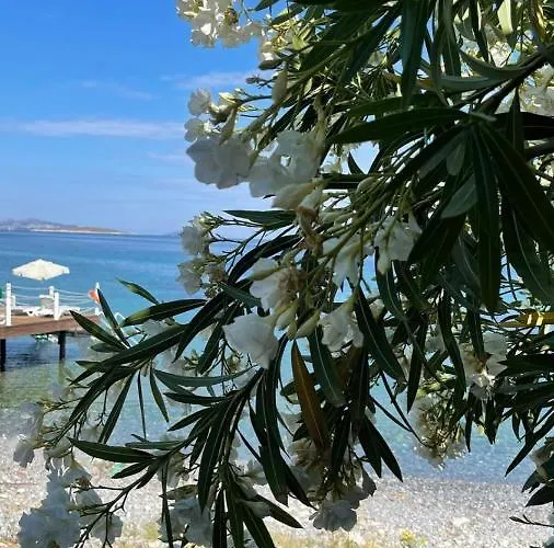 Love Beach Villa *