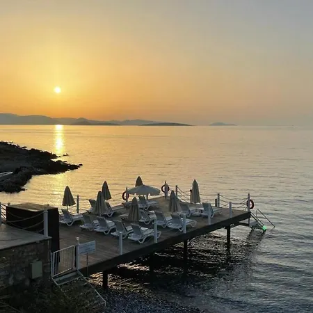 别墅 Love Beach Villa 博德鲁姆