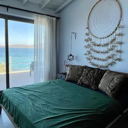 Love Beach Villa 博德鲁姆