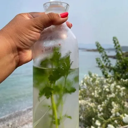 Βίλα Love Beach Villa Αλικαρνασσός