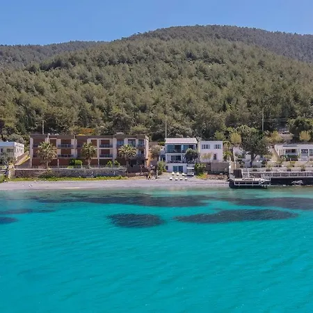 Love Beach Villa Villa