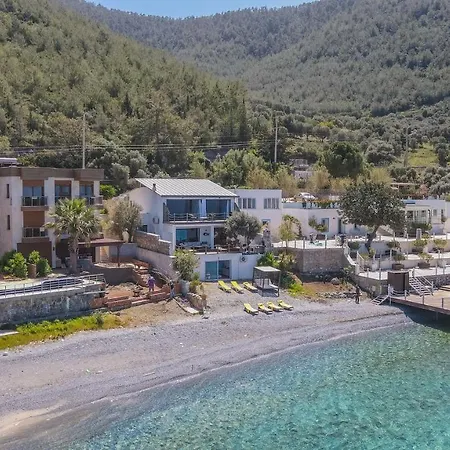 Love Beach Villa Villa