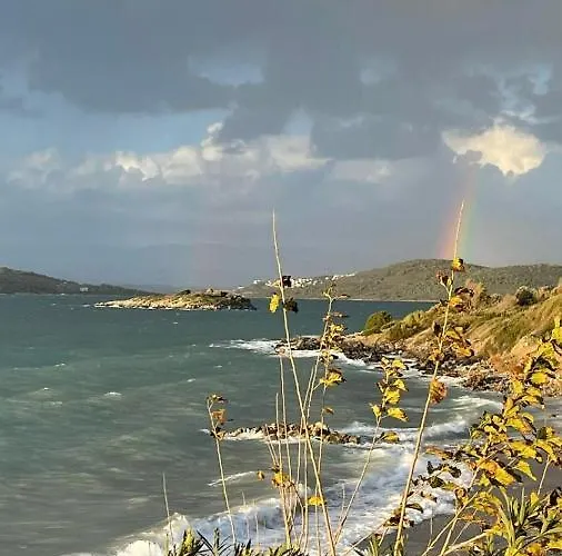 וילה Love Beach Villa *